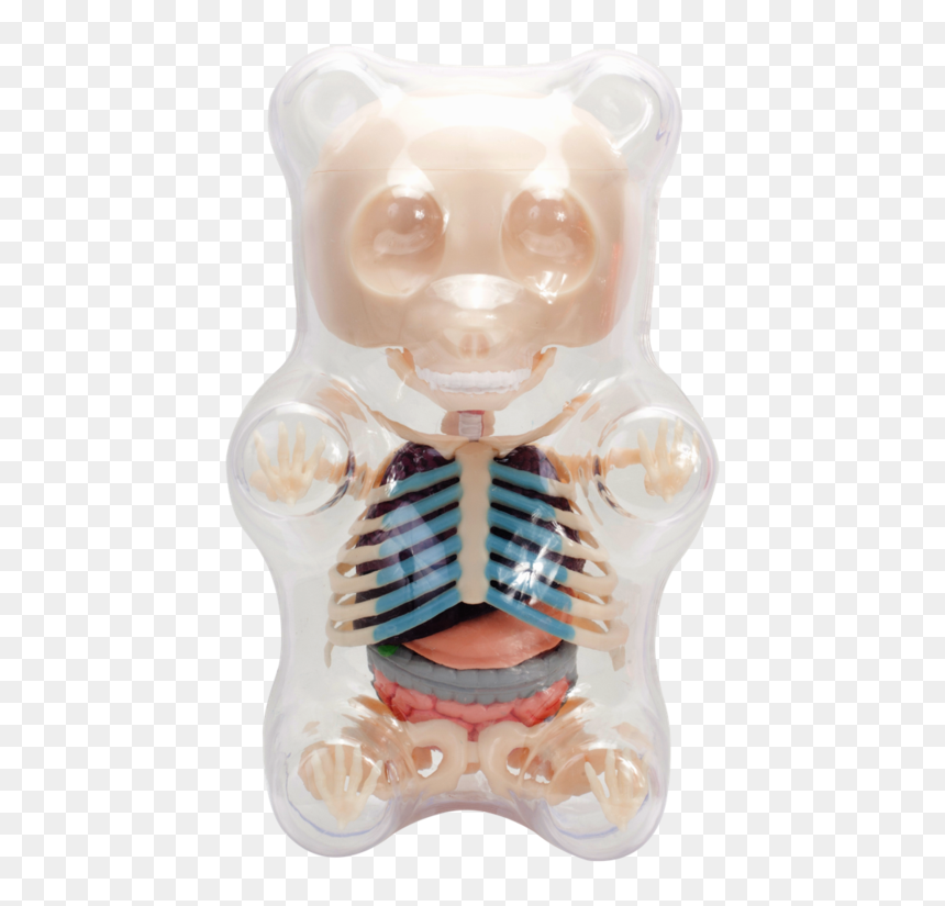 Gummi Bear Skeleton Transparent, HD Png Download - gummy bear png