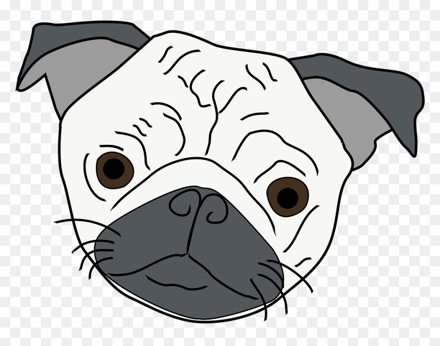 Companion Dog, HD Png Download - pug face png