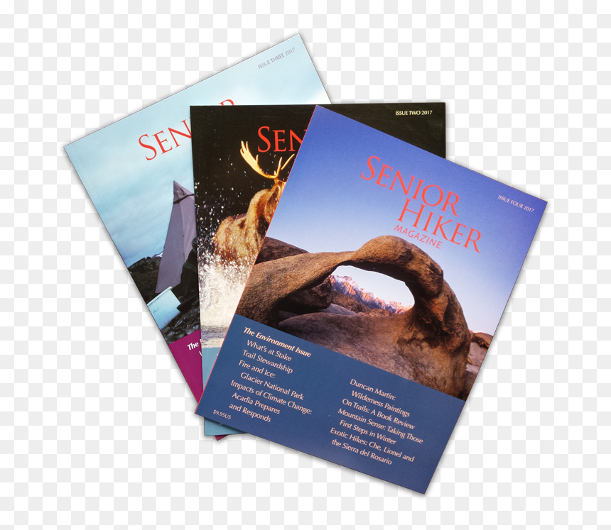 Buy Or Renew Subscription - Flyer, HD Png Download - fire trail png