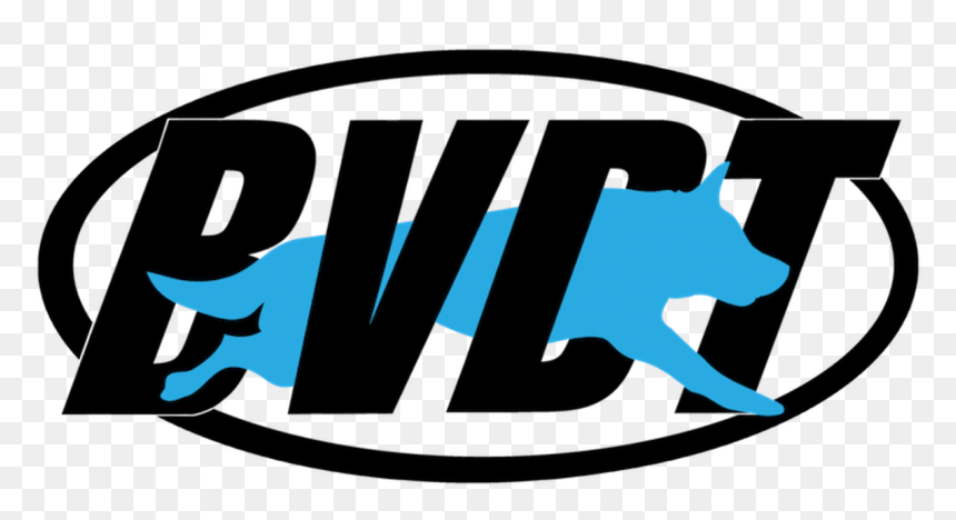 We Do Our Best To Bring You The Highest Quality Cliparts - Dog Training, HD Png Download - best quality png