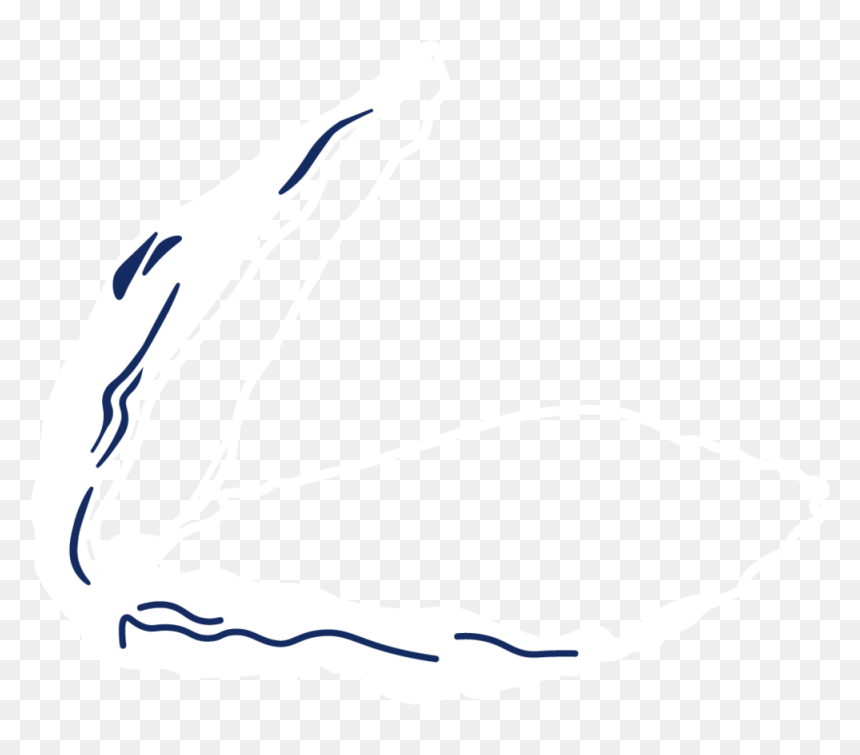 Oysters-white - Illustration, HD Png Download - jaws png