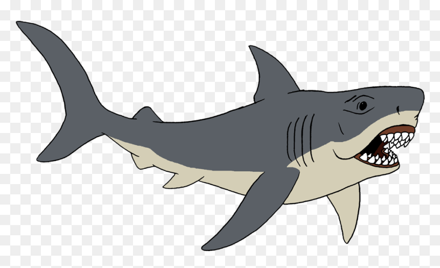 D6g7y2m 9294ffd8 1438 4082 9b25 A8a7c91a4c4e - Cartoon Tiger Shark, HD Png Download - jaws png