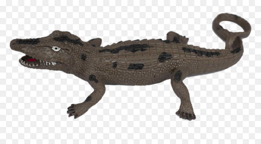 American Crocodile , Png Download - Alligator Lizard, Transparent Png - crocodile png
