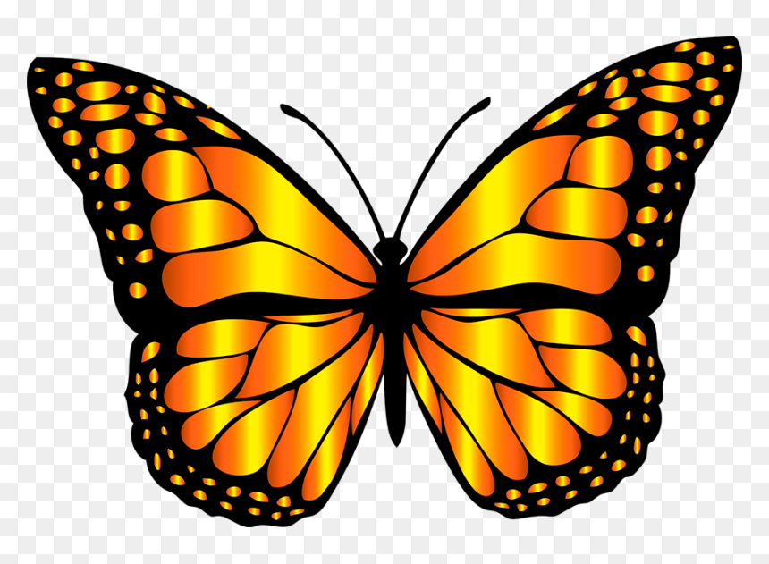 Different Colors Of Butterfly , Png Download - Light Blue Butterfly Sticker, Transparent Png - mariposa png