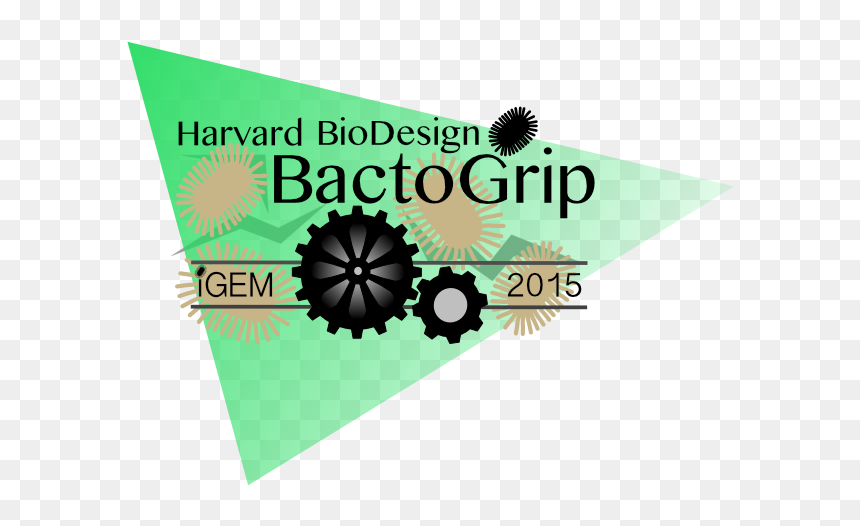 Harvard Logo - Web Design, HD Png Download - harvard logo png