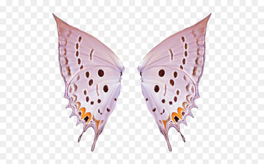 Thumb Image - Alas De Mariposa Png, Transparent Png - mariposa png