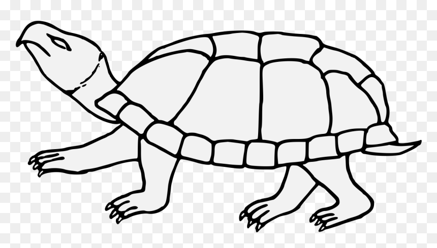 Line Art, HD Png Download - tortoise png