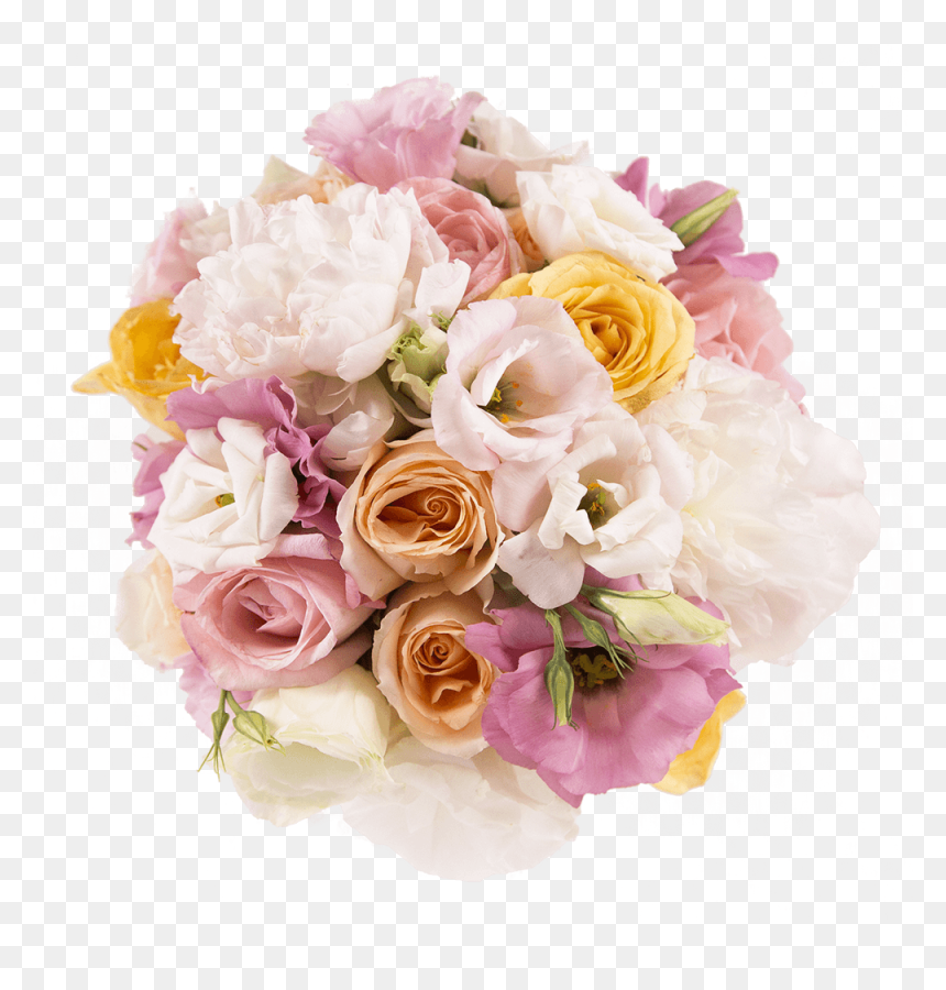 Transparent Gummy Bear Png - Garden Roses, Png Download - gummy bear png
