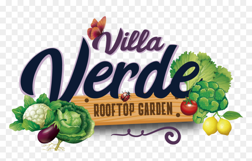 Villa Verde Rooftop Community Garden - Seedless Fruit, HD Png Download - rooftop png