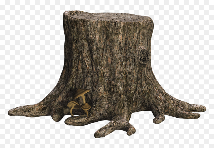 Thumb Image - Tree Stump Png, Transparent Png - tree wood png