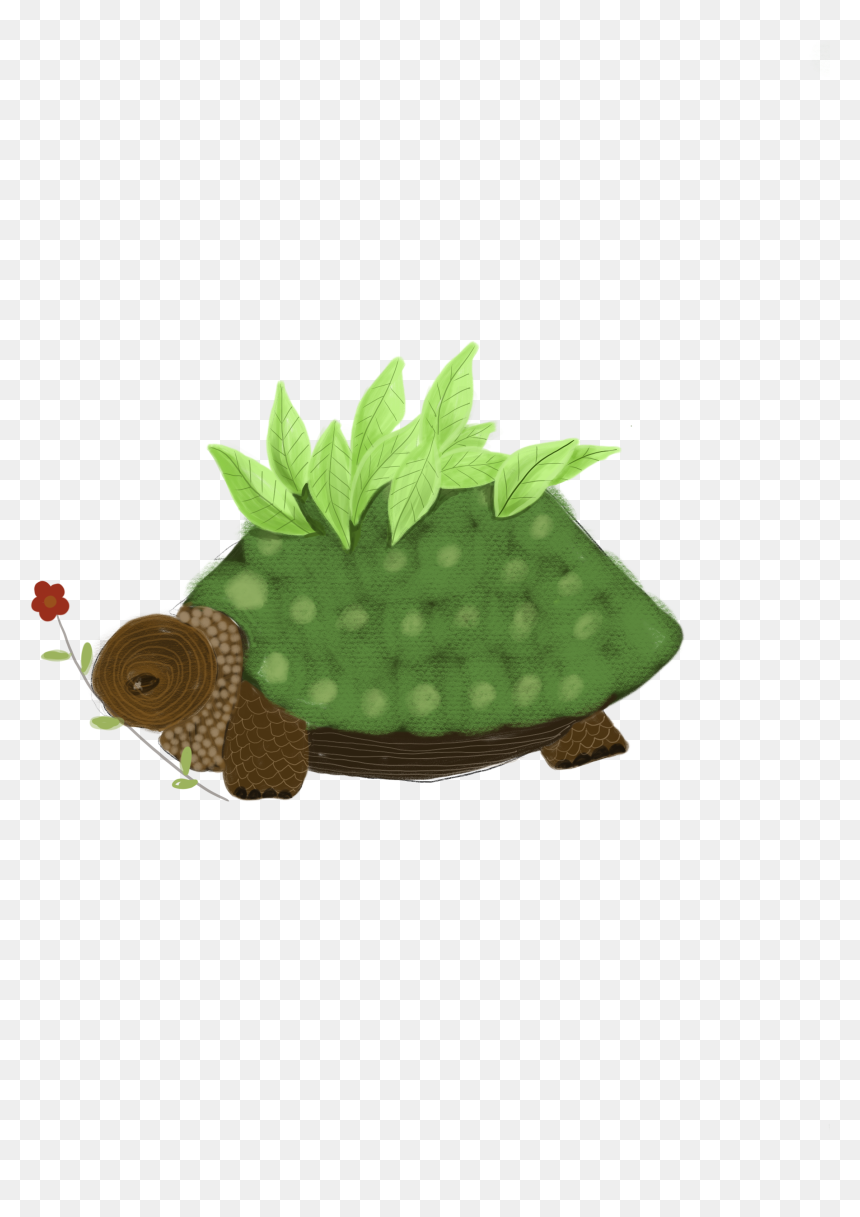 Tortoise, HD Png Download - tortoise png