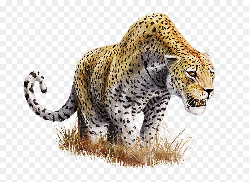 Thumb Image - Transparent Background Leopard Png, Png Download - background transparent hd png