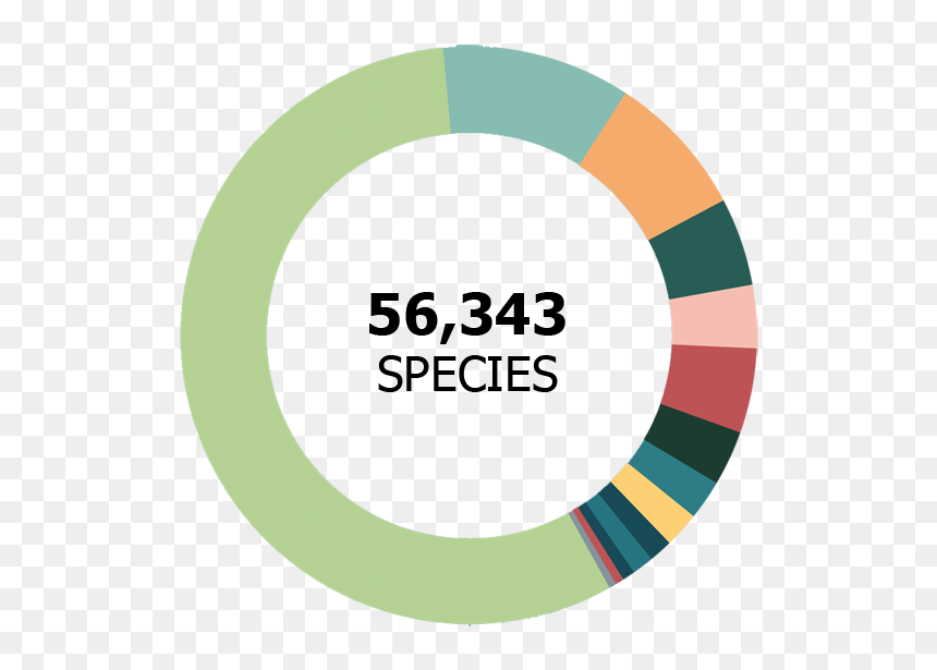 Colombia Biodiversity Map, HD Png Download - colombia png