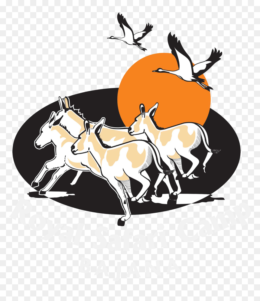 Royal Safari Camp , Png Download, Transparent Png - camp png