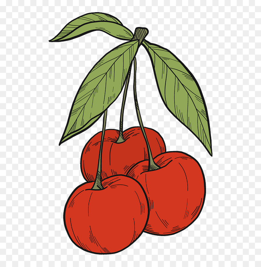 Cherries Clipart, HD Png Download - cherries png