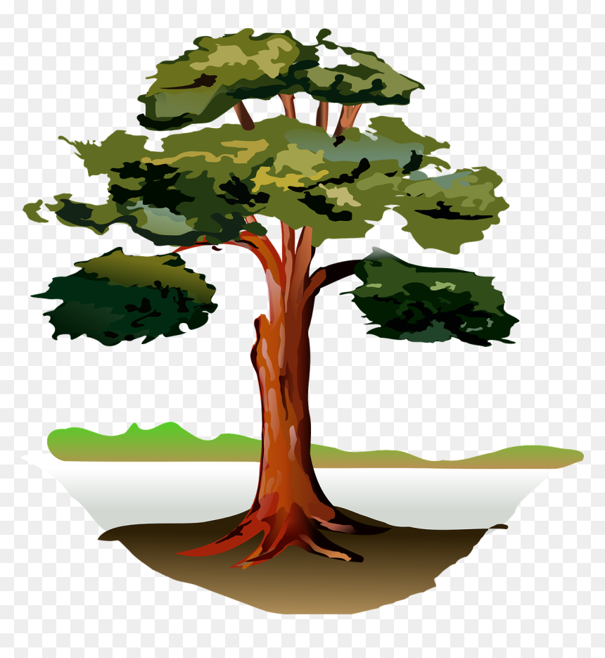 Eucalyptus Tree Clip Art, HD Png Download - tree wood png
