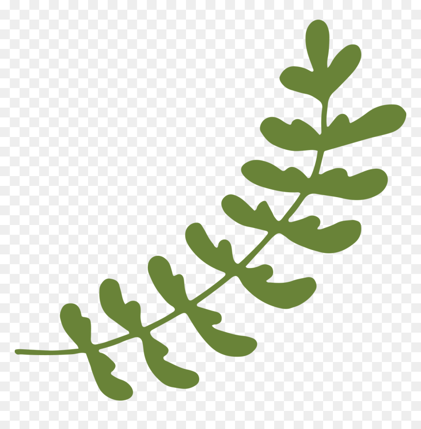Scalable Vector Graphics Clipart , Png Download - Cut File Svg Leaves, Transparent Png - wedding vector graphics png