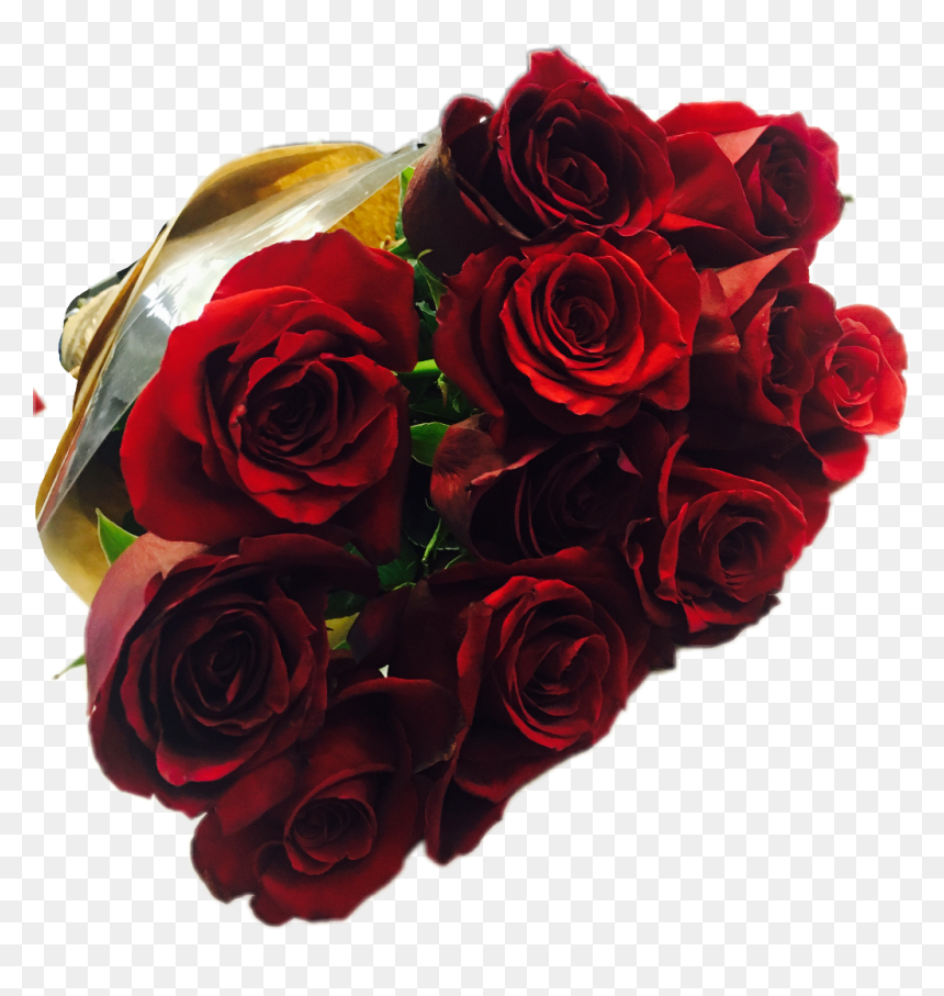 Roses Rose Flowers Flower Red Redrose Redroses Bucket - Floribunda, HD Png Download - flower bucket png