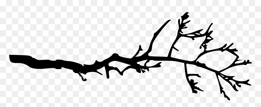 Branch Black And White Clipart, HD Png Download - tree wood png