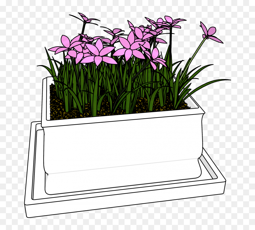 Flowers Bucket Clipart Download Hd Picture - Clip Art, HD Png Download - flower bucket png