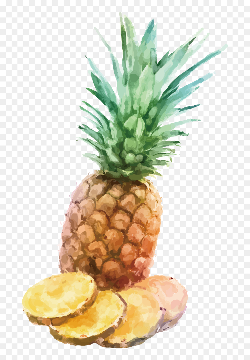 Watercolor Painting A Pineapple, HD Png Download - pineapple juice png