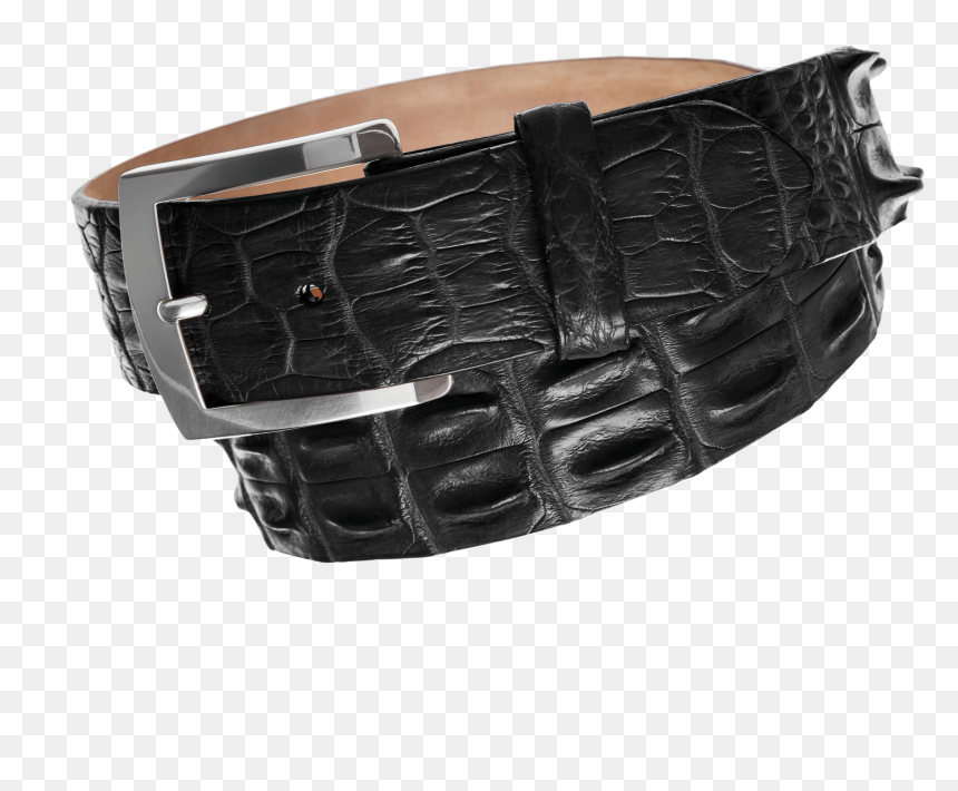 Transparent Belts Png - Belt, Png Download - crocodile png