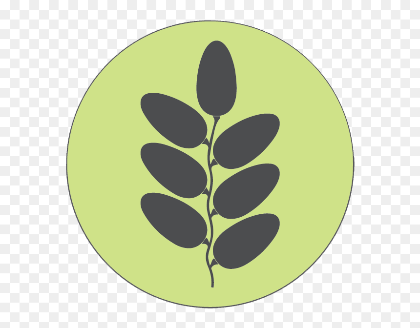 Wheat, HD Png Download - dates tree png