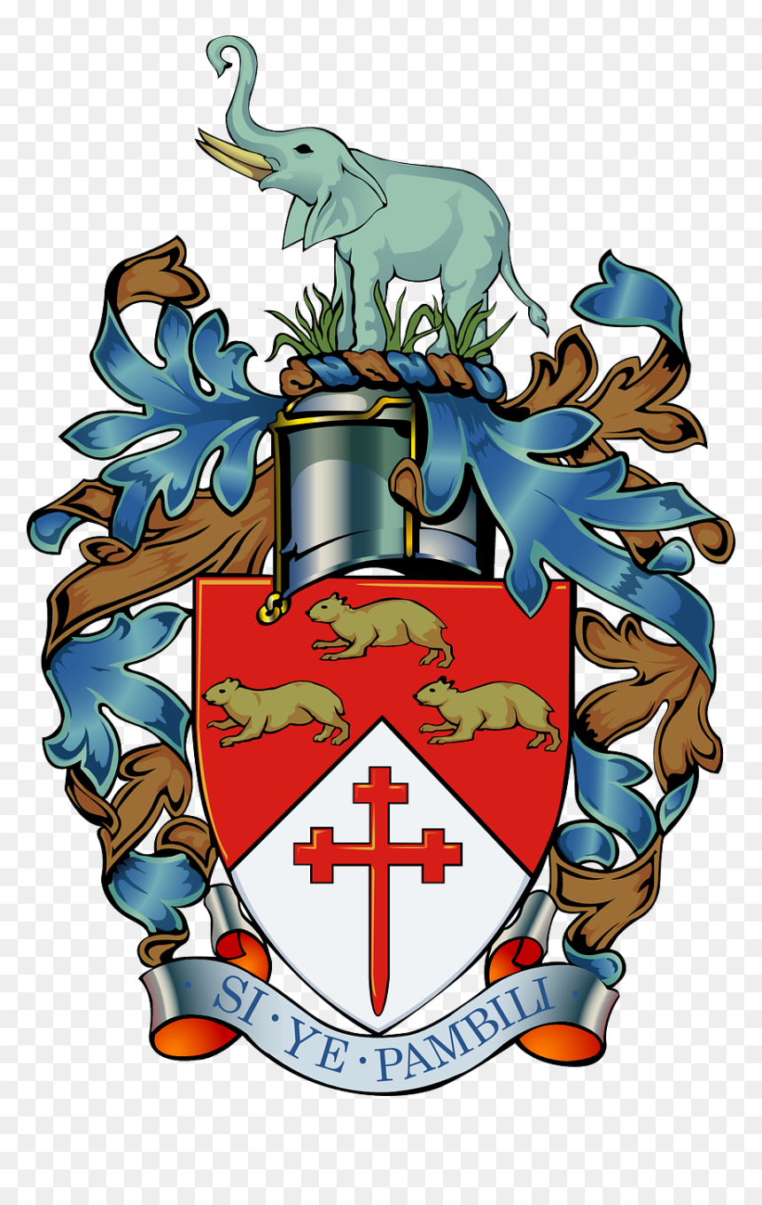 Coat Of Arms Of Zimbabwe, HD Png Download - indian national flag png