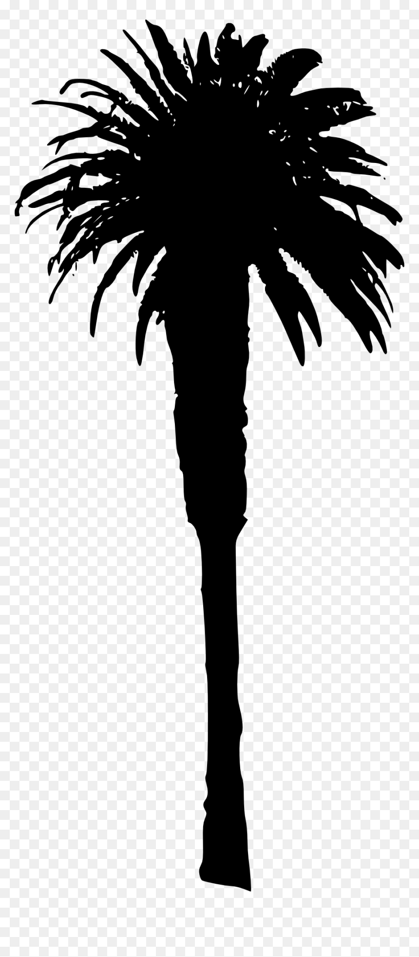 Palm Tree - Illustration, HD Png Download - dates tree png