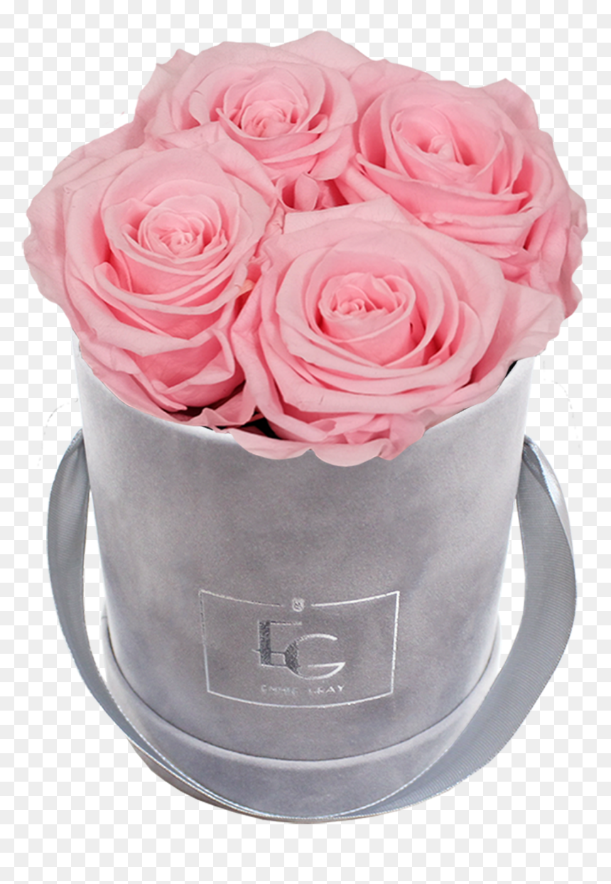 Classic Infinity Rosebox - Persian Buttercup, HD Png Download - flower bucket png