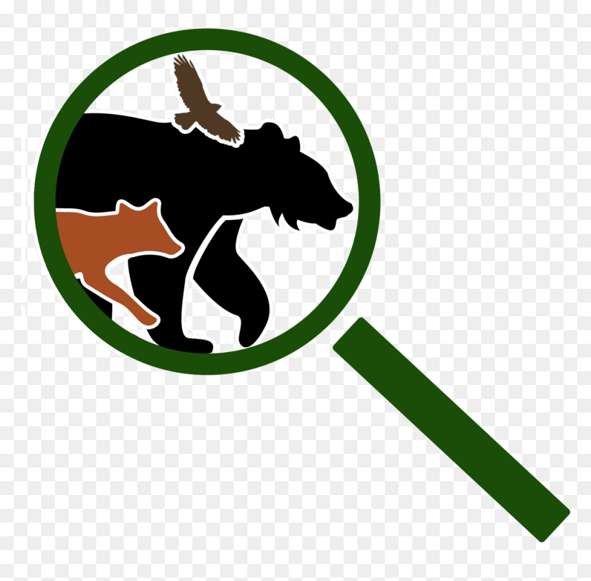 Naturespy Is A Social Enterprise Specialising In Camera - Clip Art, HD Png Download - bear trap png