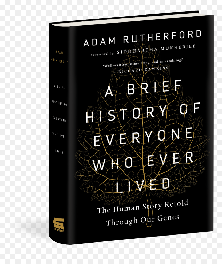 Book Cover, HD Png Download - e for everyone png