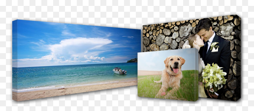Canvas Photo Printing Singapore, HD Png Download - canvas png