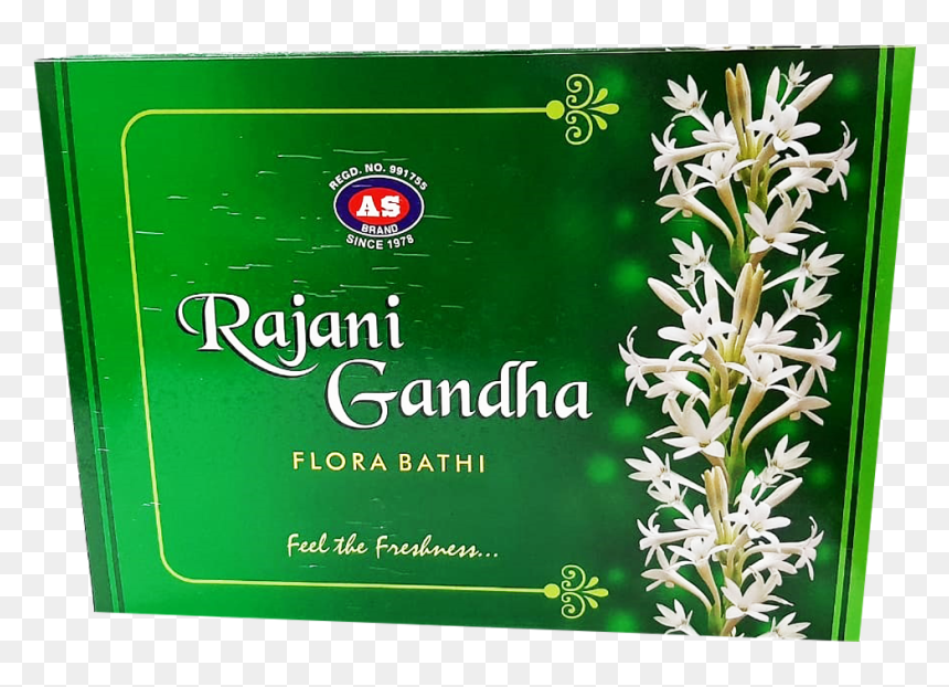 Jasmine, HD Png Download - mogra flower png