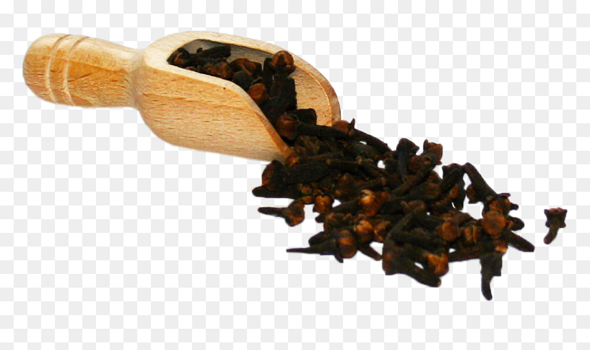 Wood, HD Png Download - dates tree png