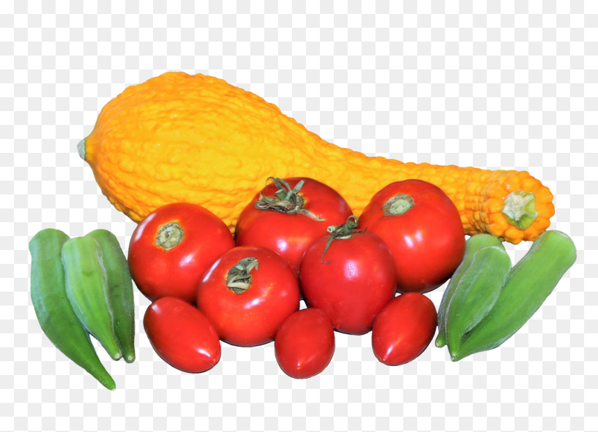 Fresh Vegetables Picture - Bush Tomato, HD Png Download - vegetables png images