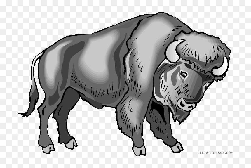 Water Buffalo Clip Art Portable Network Graphics Image - Water Buffalo Buffalo Png Cartoon, Transparent Png - indian buffalo png