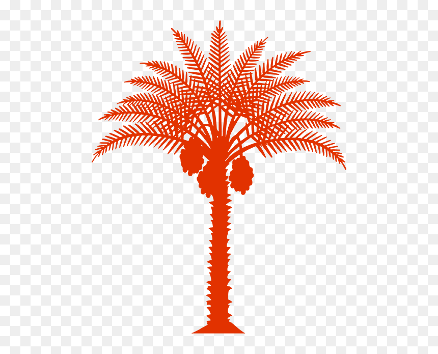 Palm, HD Png Download - dates tree png