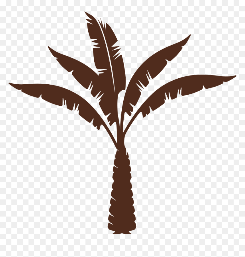 Medjool, HD Png Download - dates tree png