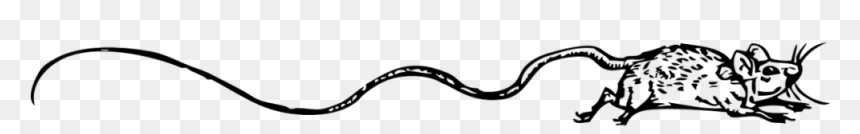 Clip Art, HD Png Download - kali mata png