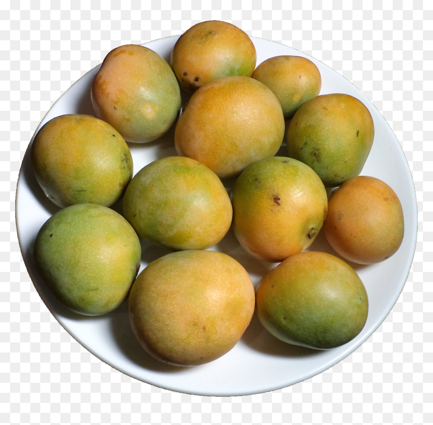 Till Just A Couple Of Decades Ago, The Children Would - Mango, HD Png Download - yellow mango png