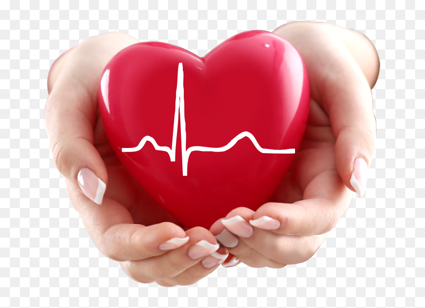 World Health Day Is Celebrated, HD Png Download - heartin png