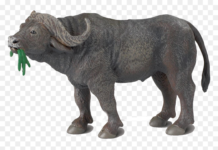 African Buffalo Png Images Transparent Background, Png Download - indian buffalo png