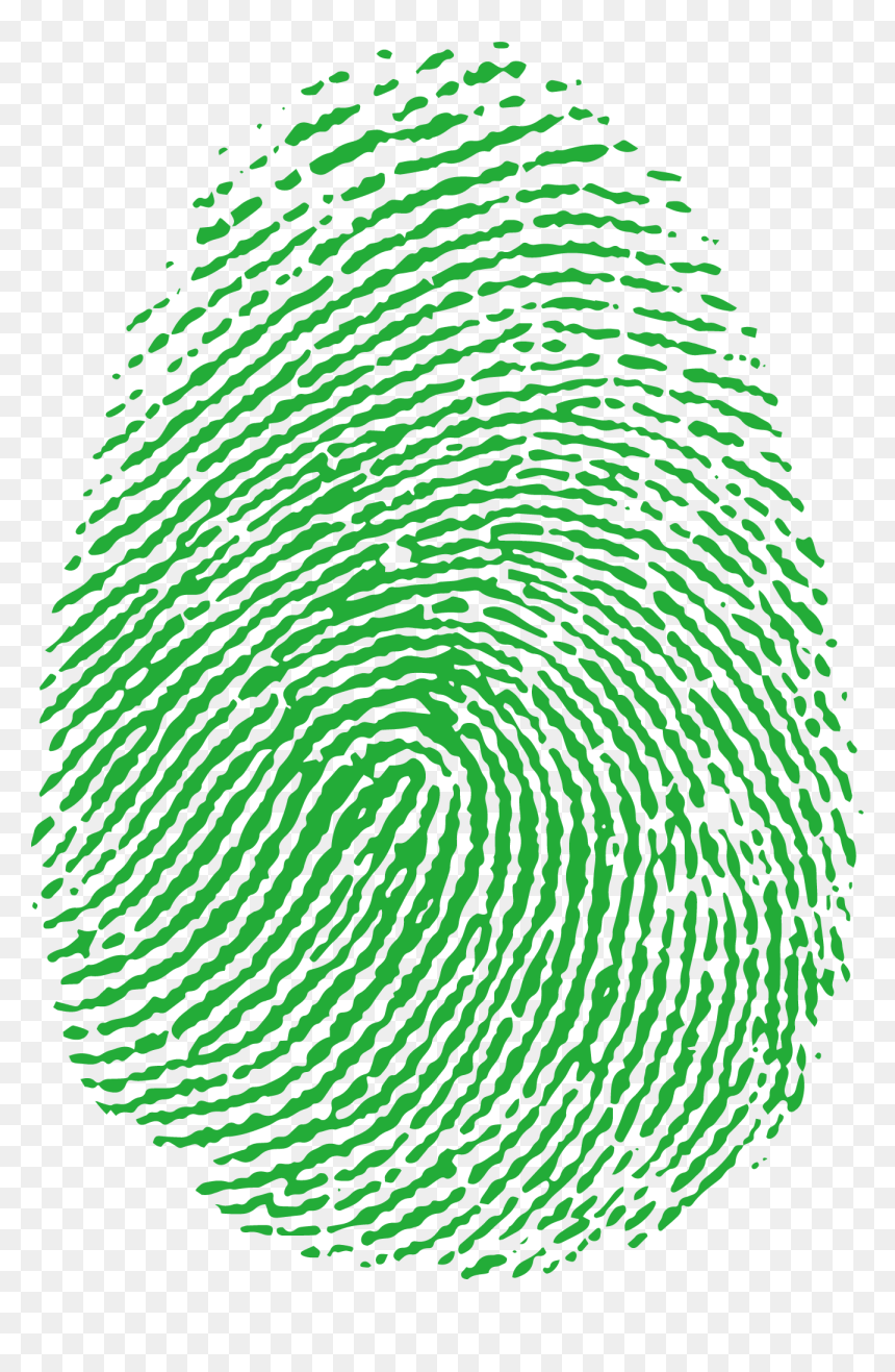 Image Scanner Elements Transprent Png Free Download - Real High Quality Fingerprint, Transparent Png - tiffin icon png
