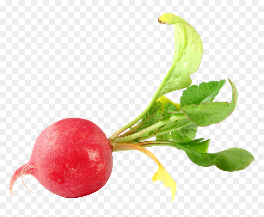 Radish Png, Transparent Png - vegetables png images