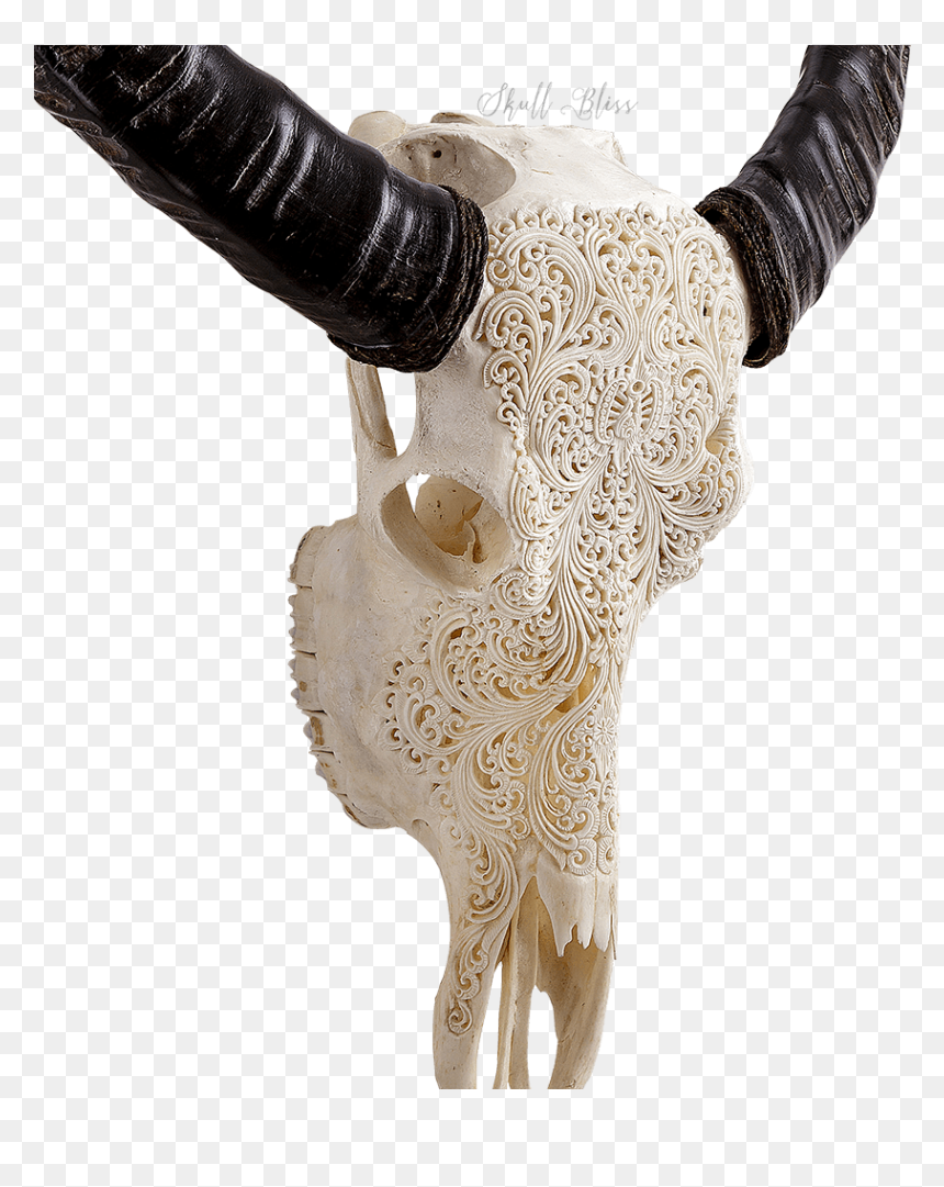 Indian Carving Buffalo , Png Download - Rose Skull Carving, Transparent Png - indian buffalo png