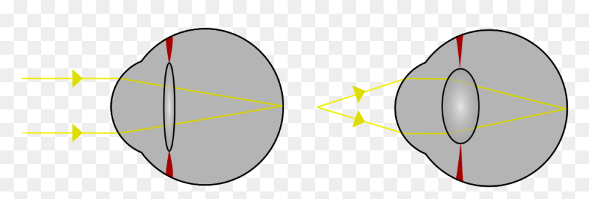 Accommodation, HD Png Download - eye lense png