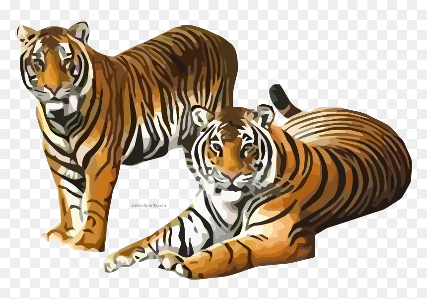 Transparent Tiger Clipart - Tigers Clipart, HD Png Download - tiger png image