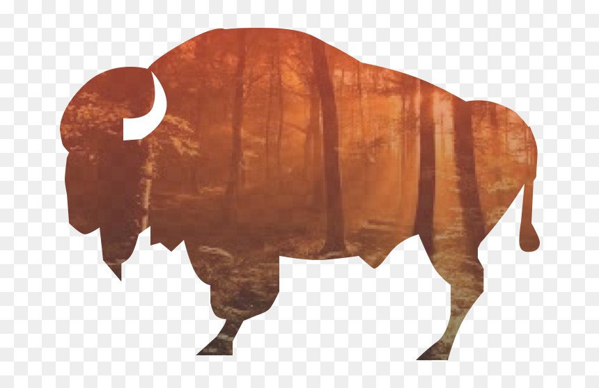 Sun, HD Png Download - indian buffalo png