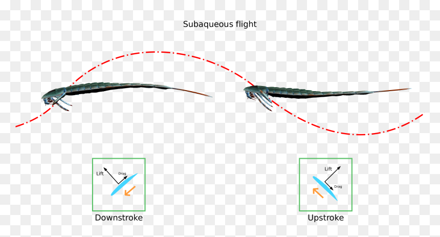 Subaqueous Flight - Período Silurico Png, Transparent Png - flight png images